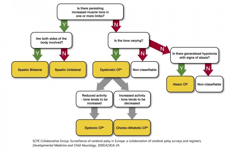 Early intervention for cerebral palsy improves mobility & independence. Discover expert physiotherapy support in the UK at PhysioElm.