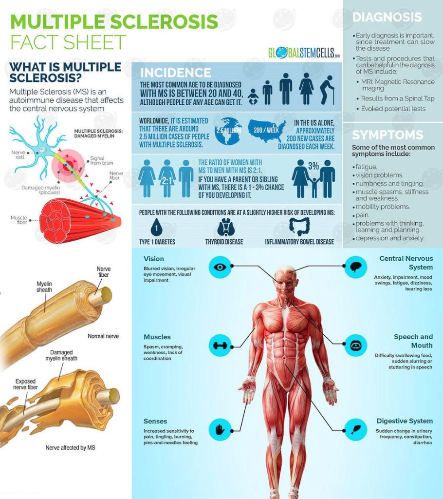 Multiple Sclerosis Factsheet