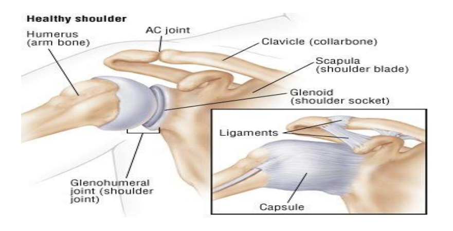 Struggling with shoulder pain? Get expert physiotherapy for shoulder injuries at PhysioElm. Fast recovery with advanced rehab techniques in London.